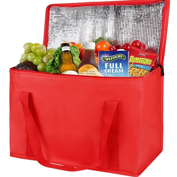 Hot Food Delivery Bags