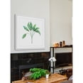 thumbnail image 5 of Marmont Hill "Sage Herb" by Thimble Sparrow Framed Painting Print, 5 of 6