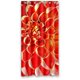 thumbnail image 1 of Cortina de ducha Impermeable Dalia Roja ABPHQTO 90x180 cm, 1 of 2