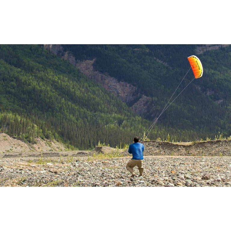 Free Shipping! Prism Synapse 140 Dual Line Sport Kite