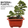 thumbnail image 3 of FOMIYES 10Ud Maceta De Plástico Resistente Para Bonsái Jardinería Y Almacenamiento En Casa U Oficina, 3 of 6