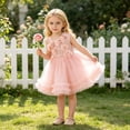 thumbnail image 6 of Fgnfyis Toddler Summer Dress Glitter Flutter Sleeve Party Princess Gown for Occasions Flower Girl Dresses Pink 6-9 Months, 6 of 9