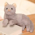thumbnail image 2 of Juguete de peluche de gato gris puro de imitación de 12 pulgadas YUANXCMXG, 2 of 3