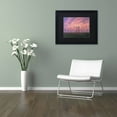 thumbnail image 3 of Trademark Fine Art "Marsh Reeds" Canvas Art by Michael Blanchette Photography Black Matte, Black Frame, 3 of 4