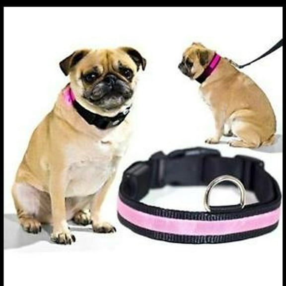 LED Dog Collar - Keeps your dog safe and easy to see in the dark. Water Resistant- Three modes (Pink - Large)