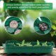 thumbnail image 2 of 1 Pack Heavy Duty Window Sill Seedling Trays With Protective Dome For 36mm Peat Pellets (not Included) - Indoor & Outdoor Growing Trays, 2 of 5