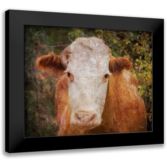 Murdock, Ramona 18x15 Black Modern Framed Museum Art Print Titled - Its Been a Tough Life Darlin