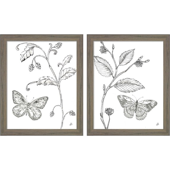 Great Art Now Outdoor Beauties Butterfly by Daphne Brissonnet, 2 Piece Framed Art Set Each 9"W x 11"H