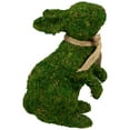 thumbnail image 3 of Northlight Standing Moss Easter Rabbit Figurine - 10", 3 of 6
