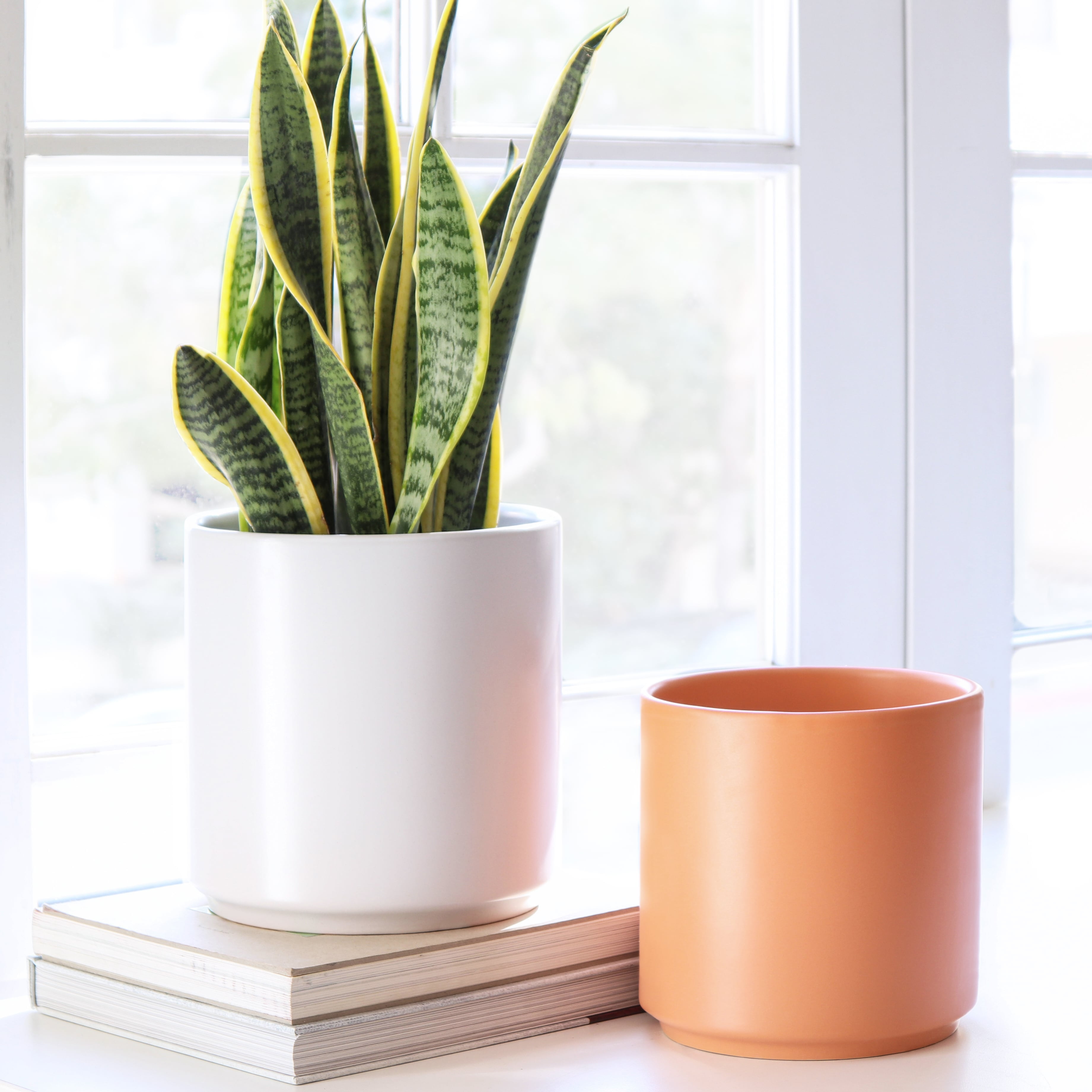 Peach &amp; Pebble 8 inch + 10 inch Modern Ceramic Planter Set