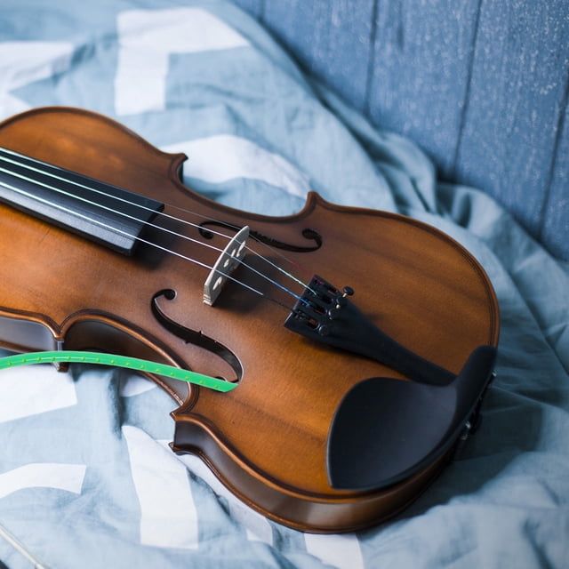 BESTYASH 1Set Green Rubber F Hole Shaped Viola Shoulder Rest for Violinists in Dry Weather Conditions