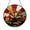 Acrylic 3.5 Inch, variant on Decorative Hand Fan Flower Stained Glass Style Suncatcher Window Hanging, Red Sunrise Floral Window Panel, Botanical Inspired Glass Style Art Decor, Elegant Garden Theme Window Ornament