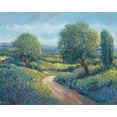 thumbnail image 2 of OToole, Tim 24x20 White Modern Wood Framed Museum Art Print Titled - Country Sentrees II, 2 of 4