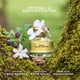 thumbnail image 3 of Perfume Marc Jacobs Daisy Eau de Toilette, set de 2 piezas para mujer, 3 of 8