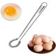 thumbnail image 1 of Batidor de huevos manual Mini Spring Coil Batidor de huevos Batidora cremosa Batidora para hornear Cocinar Leche Leche Té (6 piezas, Plata) XianweiShao 1327533655002, 1 of 1