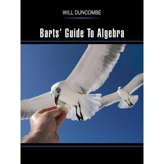 Barts' Guide to Algebra (Paperback)