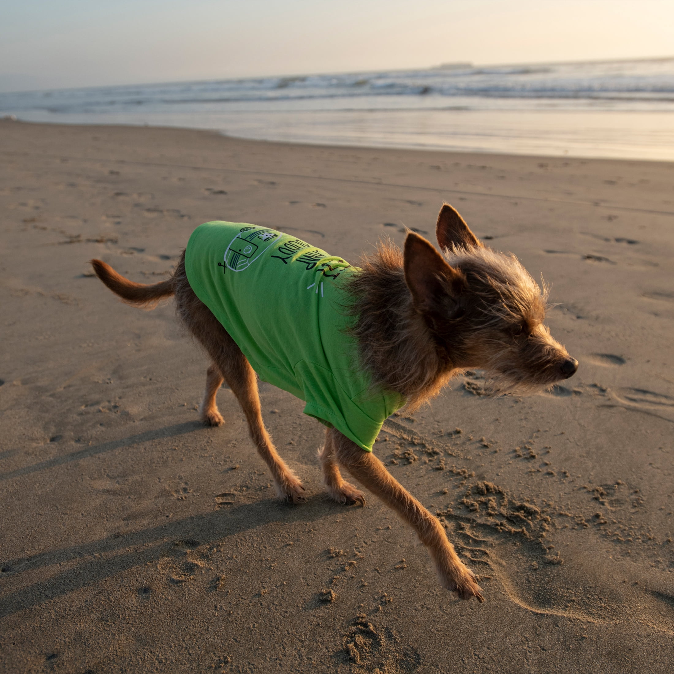 Vibrant Life Polyester Best Camp Buddy Dog T-Shirt, Green, XXS