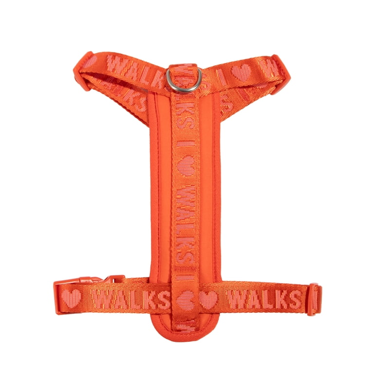 Oodles I Heart Walks Step-in Dog Harness, Red Small photo 8
