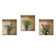 thumbnail image 4 of Calcomanías de Pared Baoblaze Decoración Multicolor 30 x 30 cm, 4 of 8