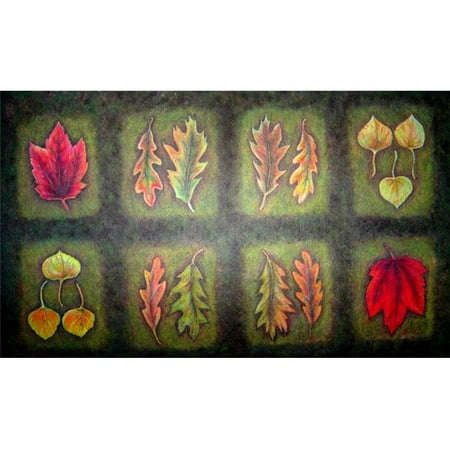 Custom Printed Rugs AWV056 Fallen Leaves Doormat Rug, Multi-Color - 18 x 30 in.