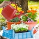 thumbnail image 5 of Regadera de 1 galón con pico largo, regadera con diseño de flores, regadera de interior con asa, regadera de plástico para plantas de jardín., 5 of 5
