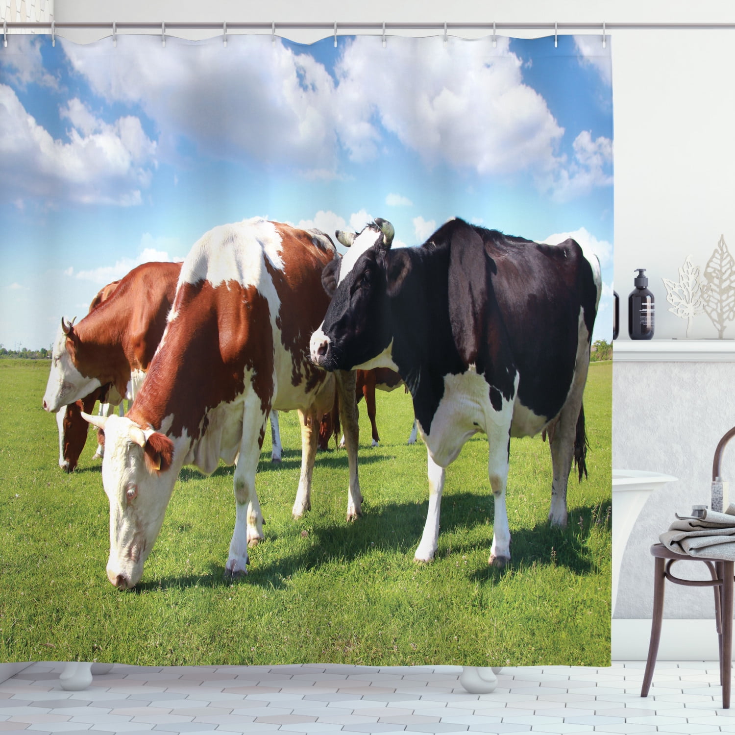 Cattle Shower Curtain, Various Colored Herd of Cows Grazing on Pasture