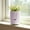 Purple, variant on Self-Watering Planter - Purple Plastic Pot with Cotton Wicks Thickened All-Season Pot for Indoor Plants