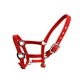 thumbnail image 1 of Xingzhi Collier de Tête de Poney Rembourré, Grande Résilience, Équipement de Protection, Fournitures pour Chevaux, Selle de Course, Rouge TG, 1 of 1