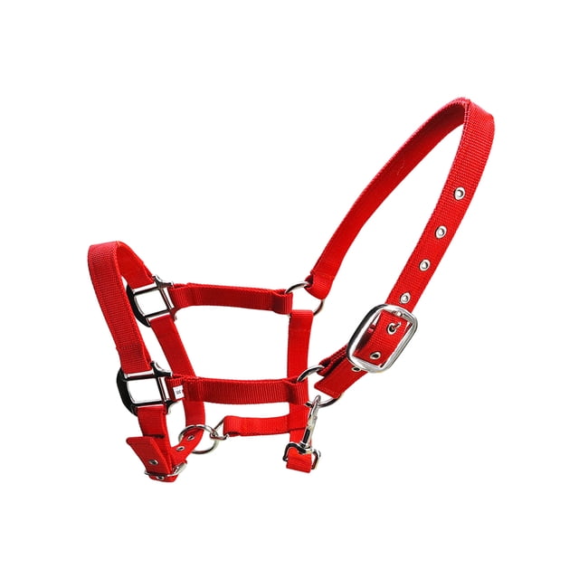 Xingzhi Collier de Tête de Poney Rembourré, Grande Résilience, Équipement de Protection, Fournitures pour Chevaux, Selle de Course, Rouge TG