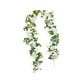 thumbnail image 5 of Guirnalda de eucalipto artificial, enredaderas artificiales florales, plantas colgantes de 5,9 pies para flor blanca, 5 of 9