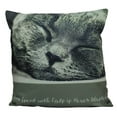 thumbnail image 1 of Cat |  Face | Cat Pillow | Cute Cat | Cat Gifts | Cat Decor | Cat Photo | Gifts for Cat Lovers | Accent pillow | Throw Pillow Covers, 1 of 5