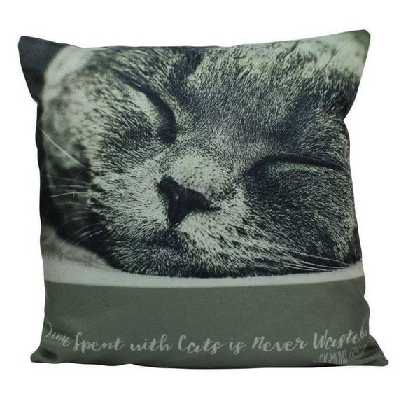 Cat | Face | Cat Pillow | Cute Cat | Cat Gifts | Cat Decor | Cat Photo | Gifts for Cat Lovers | Accent pillow | Throw Pillow Covers