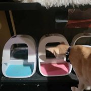 Front Cover for SureFeed Microchip Pet Feeder, Avoid Pets competing for Food, Prevent Food Stealing for Cats and Small Dogs (Cat Shape)