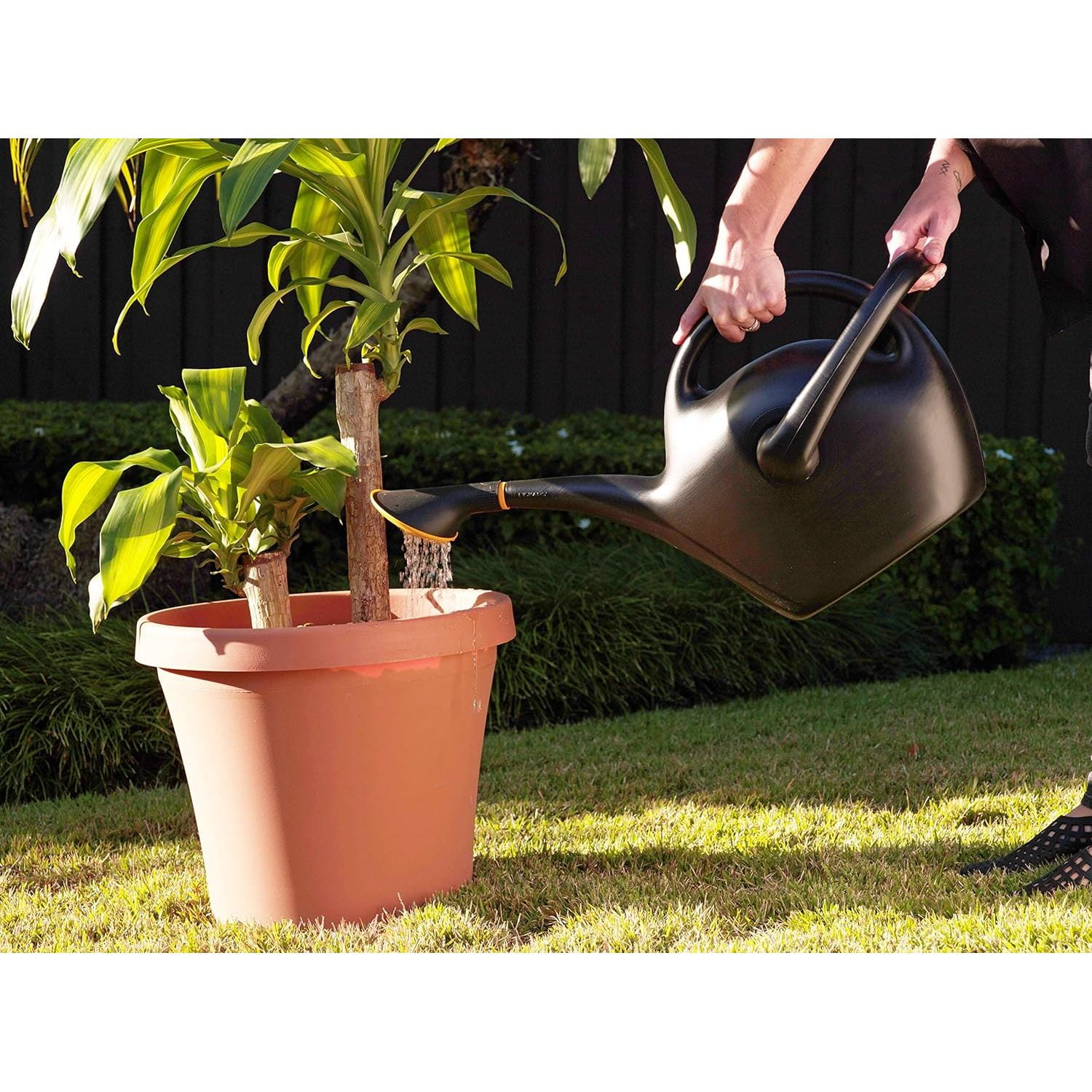 RWYP Easy Pour Watering Can, 2.6 Gallon, Black (20-47287CP)
