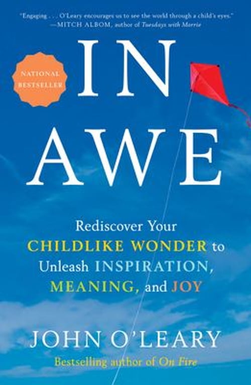 Pre-Owned In Awe: Rediscover Your Childlike Wonder to Unleash Inspiration, Meaning, and Joy (Hardcover) 059313544X 9780593135440