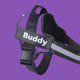 thumbnail image 1 of Arnés personalizado para mascotas, chaleco reflectante y transpirable ajustable para perros pequeños y grandes, accesorios de entrenamiento sin tirones, 1 of 4