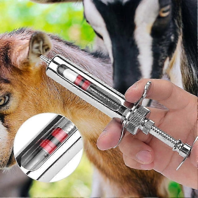 Jeringa veterinaria de 10 ml con escala metálica para inyección en pollos y cerdos.