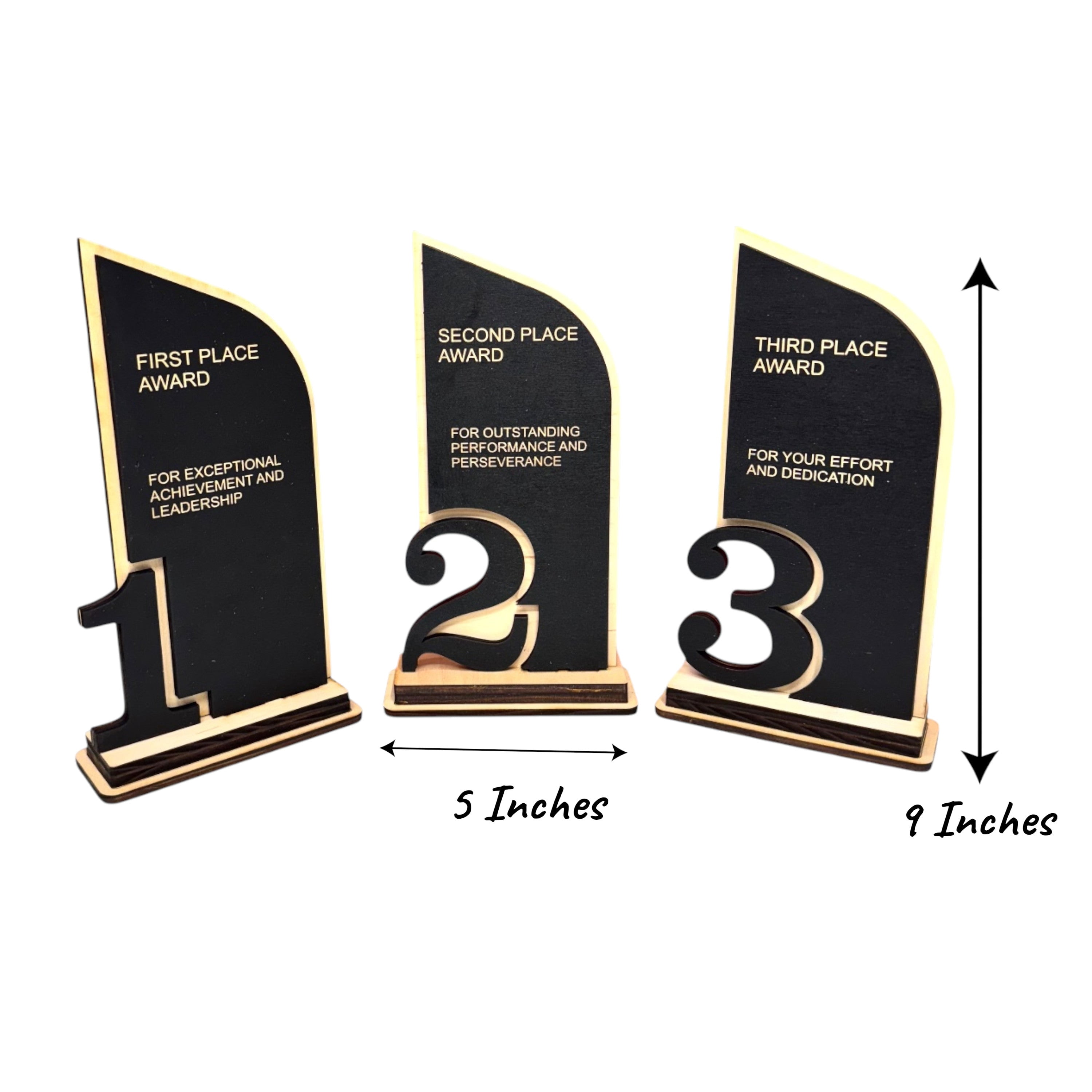Award - Trophy Award 1st 2nd 3rd Place - 9x5 Inches