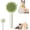 Yellow, variant on Self-Cleaning Pet Brush for Dogs & Cats - Magic Hair Remover for Long/Short Fur, Gentle Massage Grooming Tool (Purple/Green/Yellow) | Easy Clean, Painless Shedding & Tangle Relief
