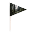 thumbnail image 1 of Dark Green Forestry Science Nature Scenery Toothpick Triangle Cupcake Toppers Flag, 1 of 3