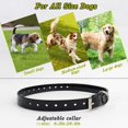 thumbnail image 3 of Collar de adiestramiento para perros Petrainer, impermeable, 300 m, recargable, 3 of 6
