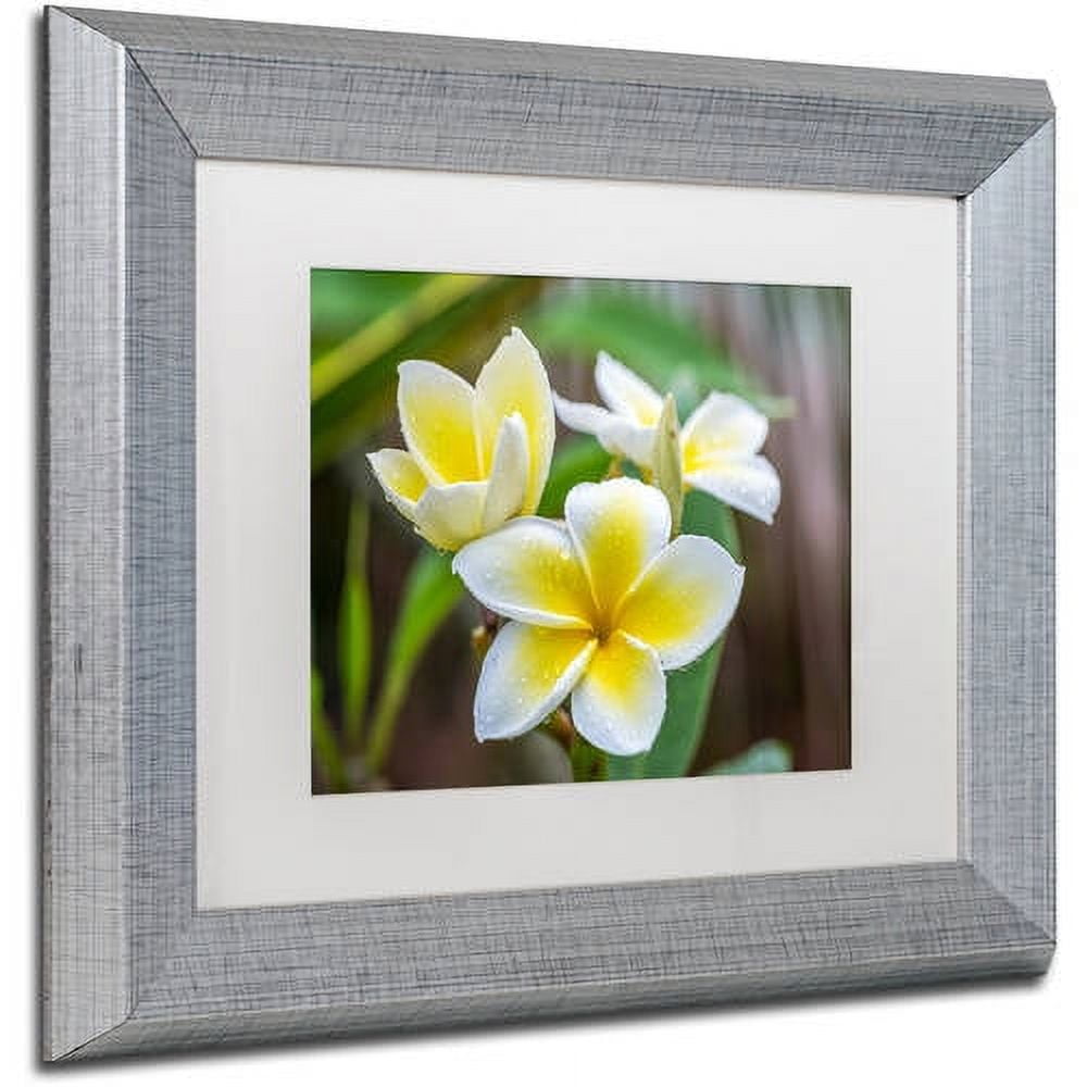 Trademark Fine Art 'Plumeria in the Rain' Canvas Art by Pierre Leclerc, White Matte, Silver Frame