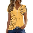 thumbnail image 2 of Xixinqiwan Women No Boundaries Tops,Womens V Neck Tops Casual Short Sleeve Pleated Blouses Vintage Flowers Printed Shirt Fashion Clothes 2025, 2 of 5