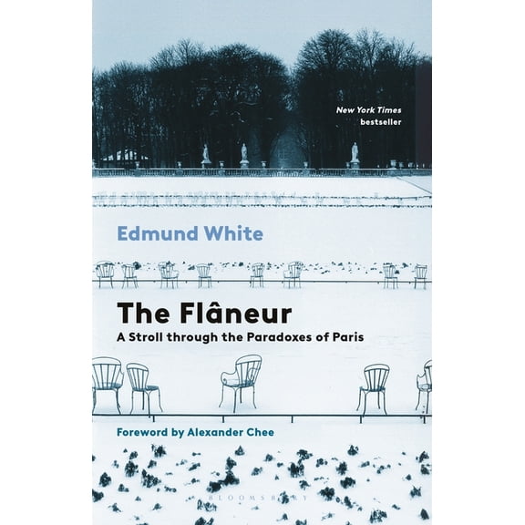 The Flaneur: A Stroll Through the Paradoxes of Paris, (Paperback)