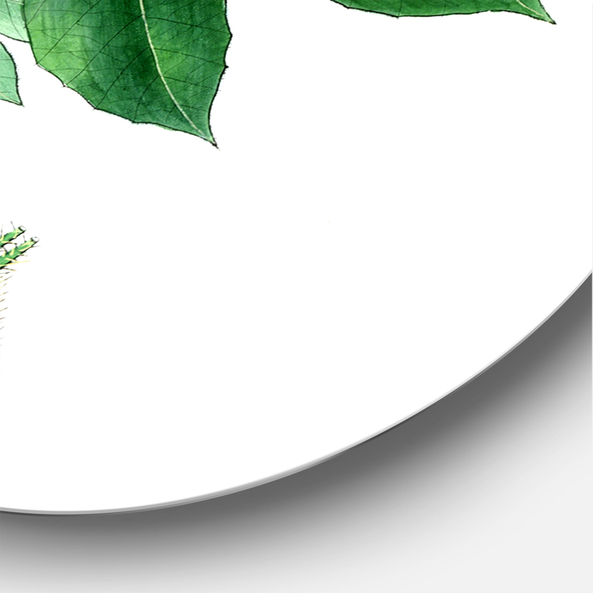 Designart 'Ancient Green Leaves Plants V' Traditional Circle Metal Wall Art 29x29 - Disc of 29