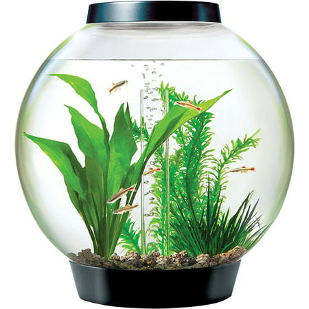 Oase-Aquatics-Biorb Classic 15 Mcr Aquarium- Black 4 Gallon/15 (Best Fish For Biorb)