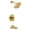 Brushed Gold, variant on MOEN Flara UTS3913BN Single Function Pressure Balanced Valve Trim Kit in Brushed Nickel (Valve Required)