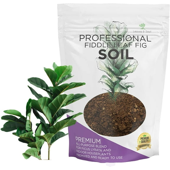 Indoor Potting Mix All Purpose Soil for Indoor Plants Fiddle Leaf Fig Pot Mix, 2.2
