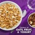 thumbnail image 4 of Kellogg's Special K Fruit and Yogurt Cereal - 17.9oz - Pack of 2, 4 of 5