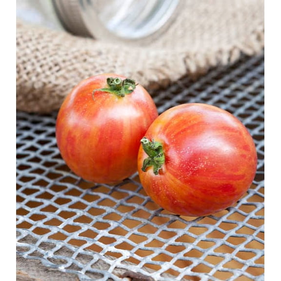 Pink Bumblebee Heirloom Tomato Premium Seeds Packet